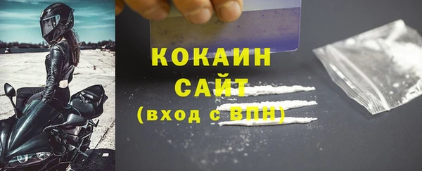 твердый Козловка