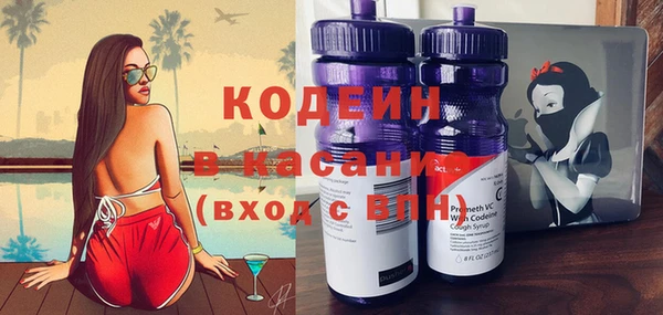 прущие грибы Кодинск