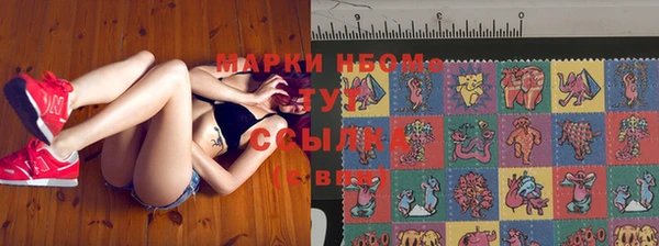 прущие грибы Кодинск