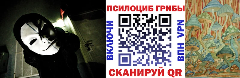 Галлюциногенные грибы Psilocybe  магазин продажи   блэк спрут маркетплейс  Киржач 